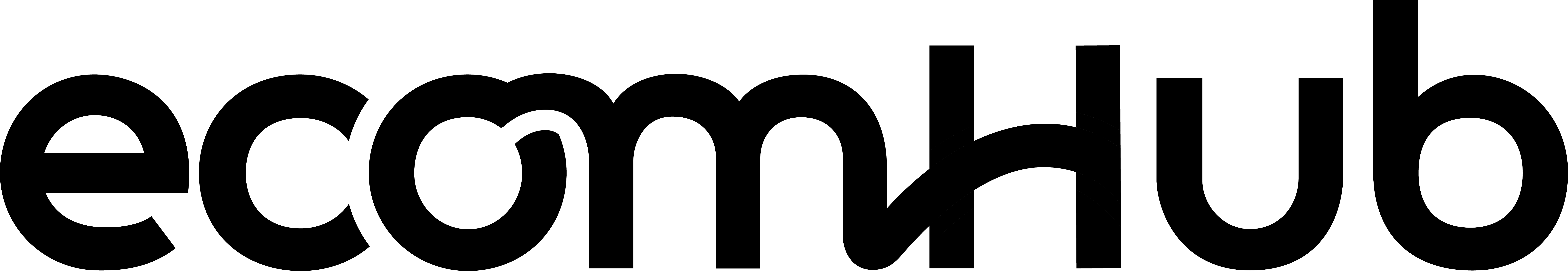 EcomHub